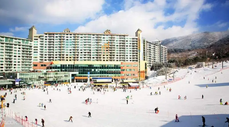  Welli Hilli Park Ski Resort